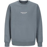 Jack & Jones Junior Stormy Weather Vesterbro Collegegenser Crew Neck Noos