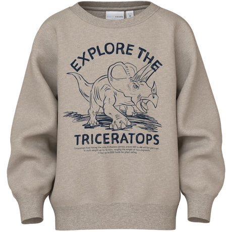 Name It Pure Cashmere Triceratops Vion Regular Collegegenser