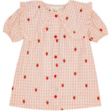 Flöss Pink Berry Gingham Dolly Kjole