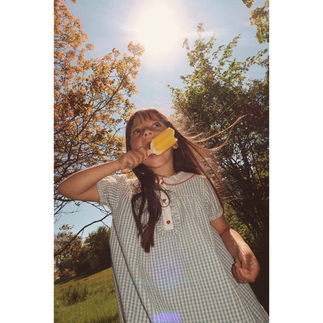 Flöss Blue/Soft White Gingham Kjole