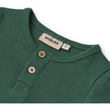 Wheat Green Tea Body L/S Benny