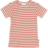 Petit Piao Light Berry/Dark Off White T-Skjorte S/S Modal Striped