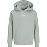 Jack & Jones Junior Aqua Gray Tarmac Camo Back Print Hettegenser