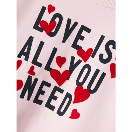 Name It Ballerina Dcare Regular Collegegenser