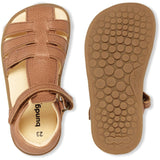 Bundgaard Cognac Rox