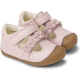 Bundgaard Old Rose Petit Summer Flower