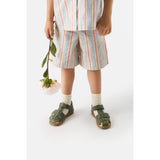 Bundgaard Army Tritu