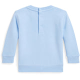 Ralph Lauren Baby Office Blue Bjørn Collegegenser
