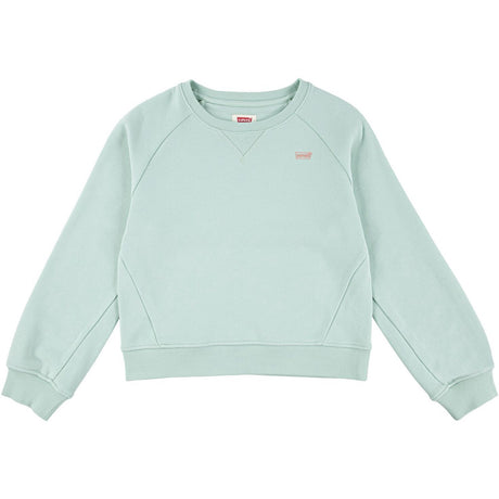 Levi's Celadon Lvg Levis Hd Silicone Batwing Collegegenser