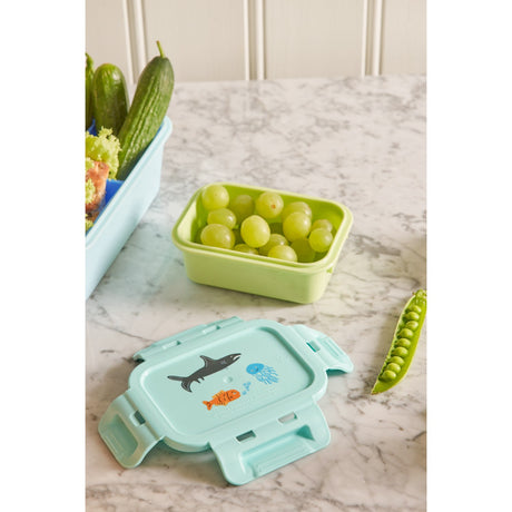 Rice Lunchbox Med Airtight Lid Og Wildlife Print - Mint - Small