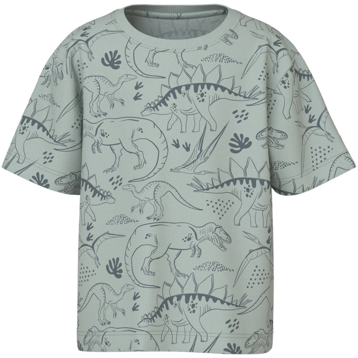 Name It Aqua Gray Tone Dino Valther Regular T-Shirt