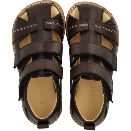 Angulus Dark Brown Begynner Sandal Med Borrelåslukning