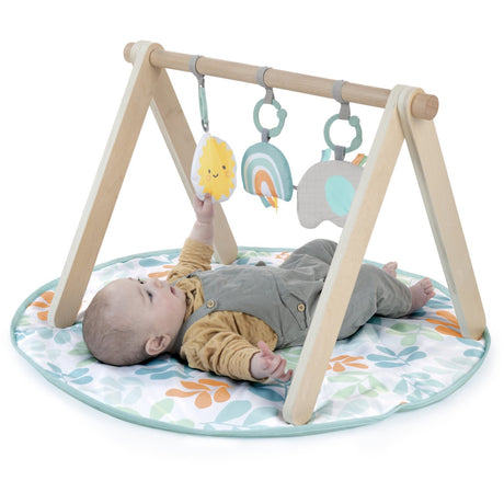 Ingenuity Sun Valley™ Wooden Leketøy Arch & Play Mat
