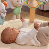 Ingenuity Every Season™ Plush Lambswool Play Gym