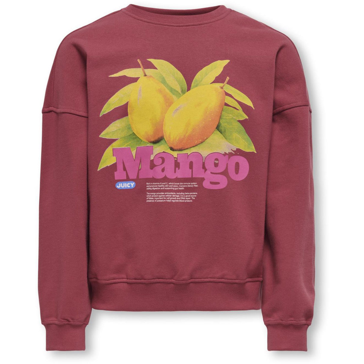 kids ONLY Earth Red Mango Philea Life Overzise Fruit O-neck Collegegenser