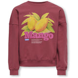 kids ONLY Earth Red Mango Philea Life Overzise Fruit O-neck Collegegenser