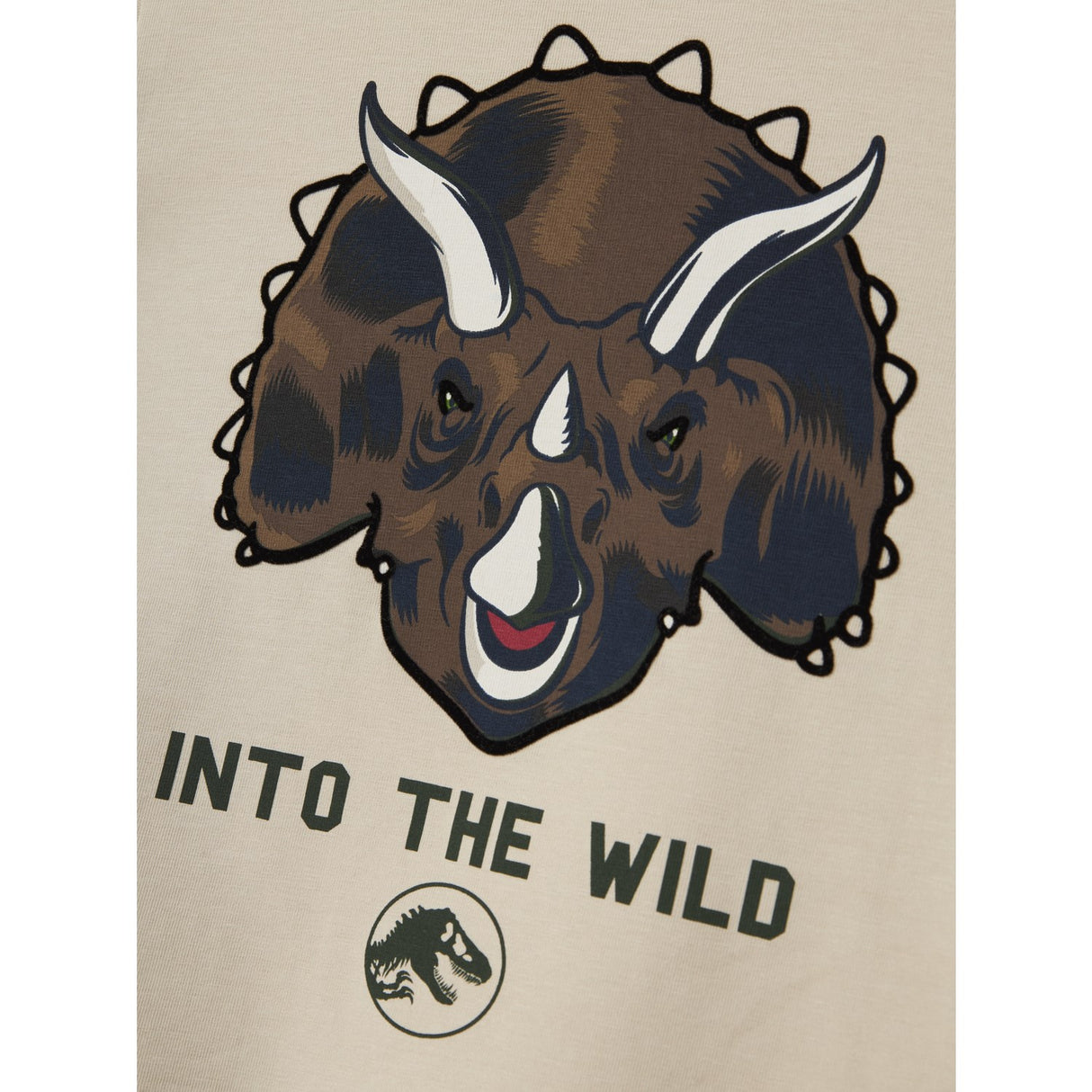 Name It Peyote Nmmjogger Jurassic Nreg Ss Topp Box Sky