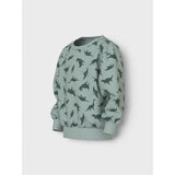 Name It Jadeite Lots Of Dinos Nmmvifelix Ls Nreg Sweat Unb