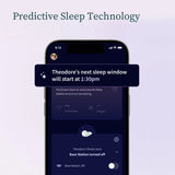 Owlet Bedtime Blue Dream Strømpe