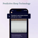 Owlet Mint Dream Strømpe + Cam2 Bundle