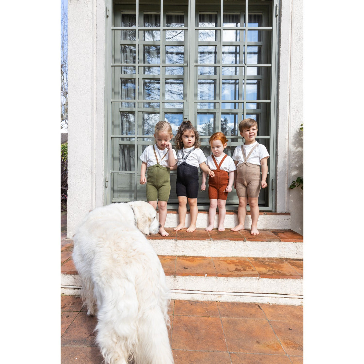 Silly Silas Olive Striped Shorty Tights Med Seler