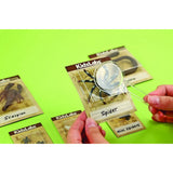 4M Kidzlabs / Creepy Crawly Digging Kit