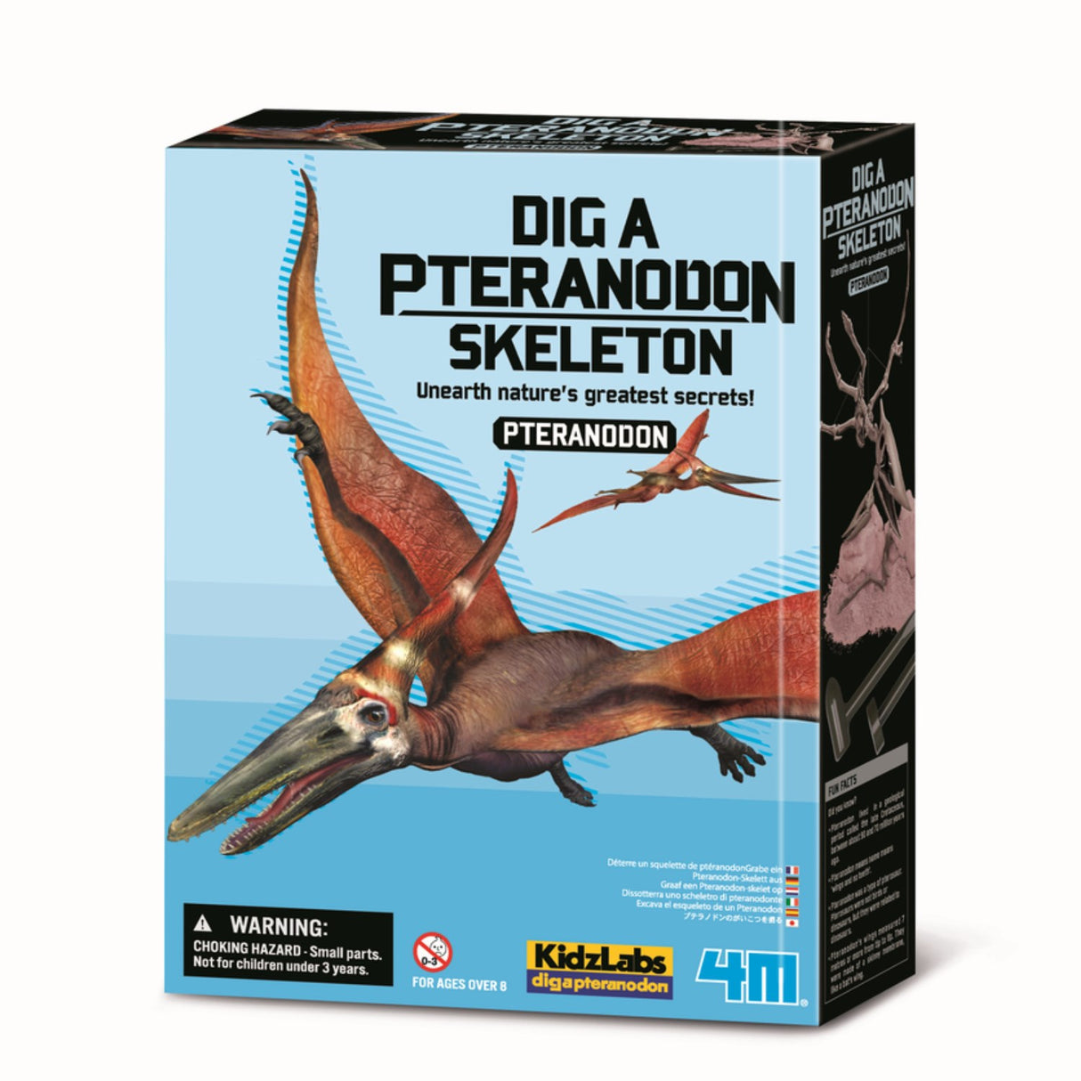 4M Udgrav Et Pteranodon-Skelet