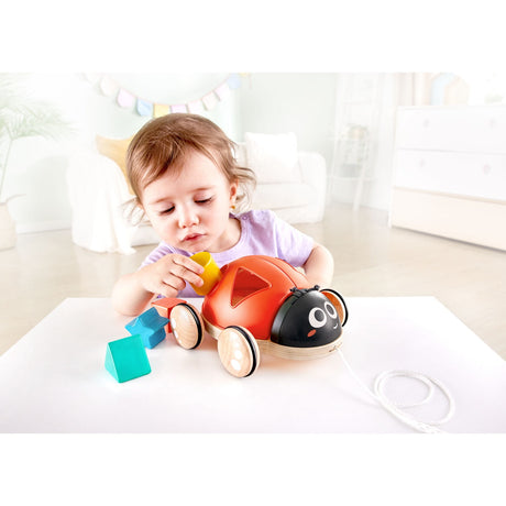 Hape Shape Sorter Ladybug
