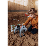 By Astrup Spring Classic