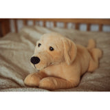 av Astrup Gravitasjonshund, 2,2 kg.