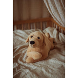 av Astrup Gravitasjonshund, 2,2 kg.