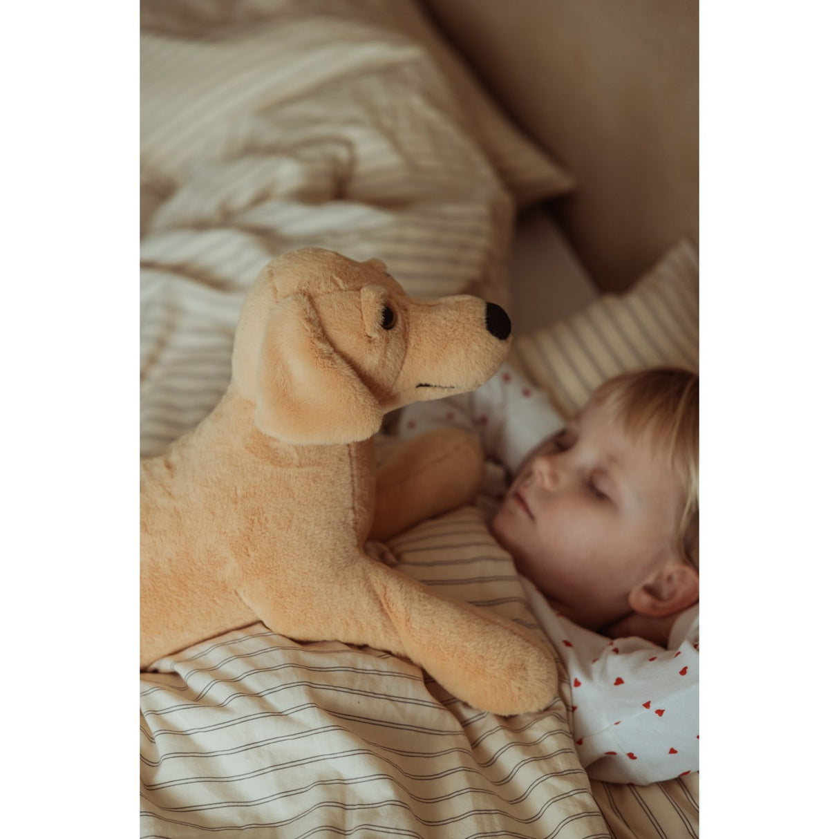 av Astrup Gravitasjonshund, 2,2 kg.