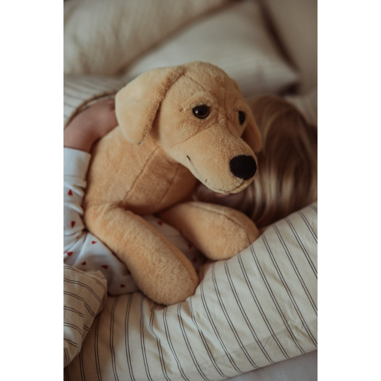 av Astrup Gravitasjonshund, 2,2 kg.