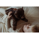 av Astrup Gravity, katt, 1,2 kg.