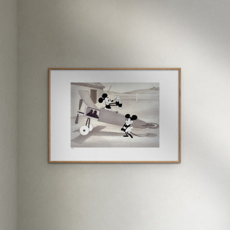 Poster & Frame Disney - Vintage Crazy Plane No. 02
