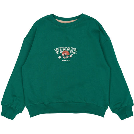 The New Alpine Green Paul Oversize Collegegenser