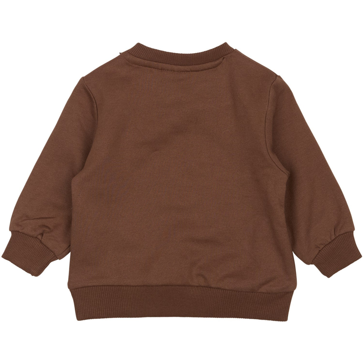 THE NEW Siblings Pinecone TNSBPerseus Collegegenser