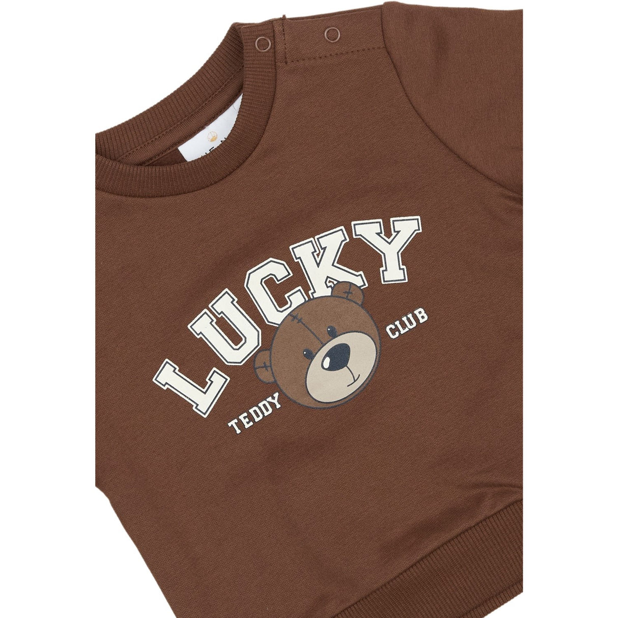 THE NEW Siblings Pinecone TNSBPerseus Collegegenser