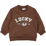 THE NEW Siblings Pinecone TNSBPerseus Collegegenser