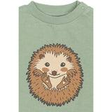 THE NEW Siblings Lily Pad Rex Collegegenser