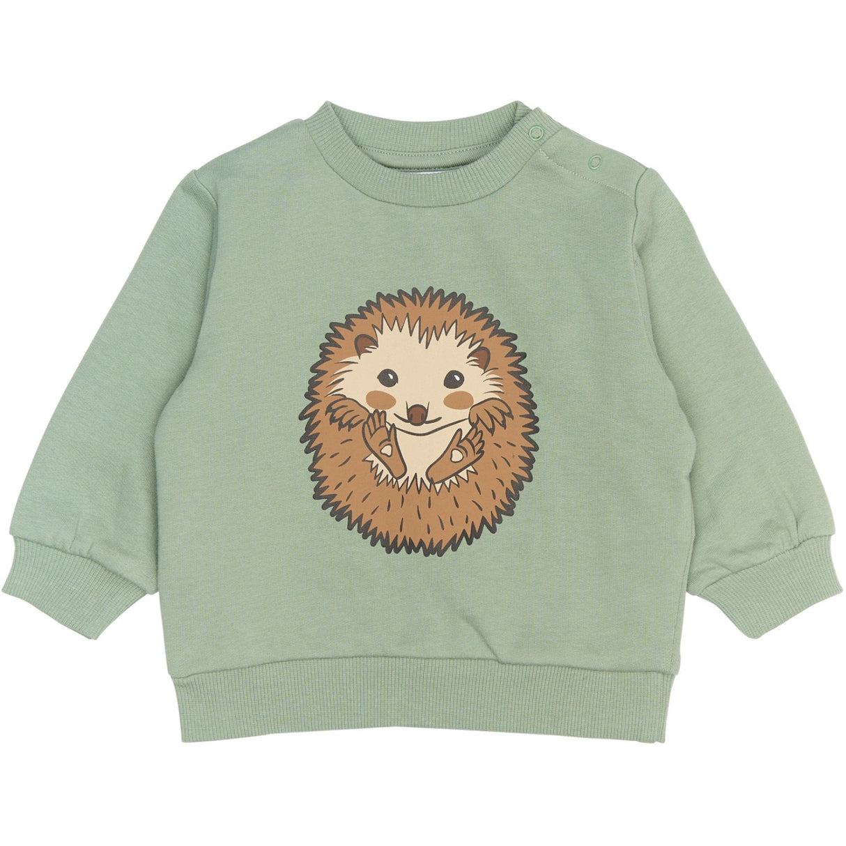 THE NEW Siblings Lily Pad Rex Collegegenser