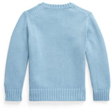 Polo Ralph Lauren Chambray Blue/C1367 Sweater