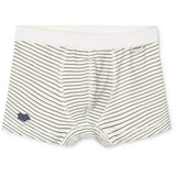 LIEWOOD Mini Dinosaurs Creme Mix Marvin Underbukser 3-Pakning