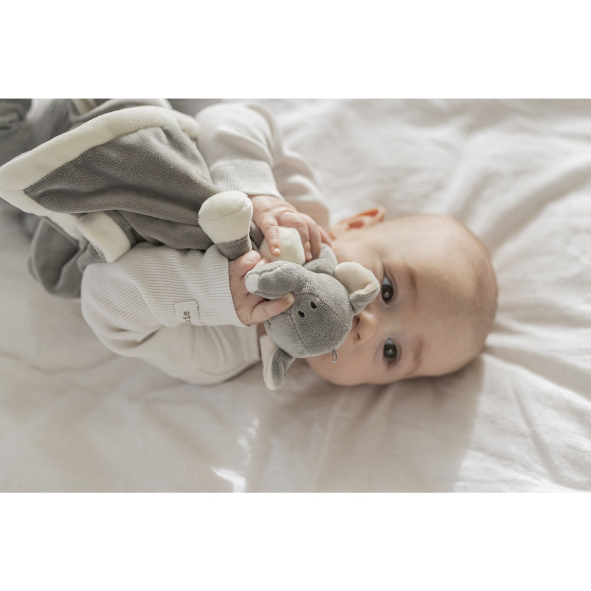 Teddykompaniet Grå Diinglisar - Nusseklud, Elefant I Grå
