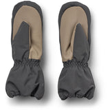 Wheat Black Sea Votter Monta