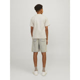 Jack & Jones Junior Moonbeam Loose Jjeurban Edge Tee Ss O-Neck Noos Jnr