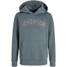 Jack & Jones Junior Stormy Weather Jjecaleb Varsity Sweat Hette Noos Jnr