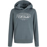 Jack & Jones Junior Stormy Weather Big Print Jjmakoto Sweat Hette Jnr