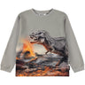 Molo Dinosaur Fog Rube Bluse