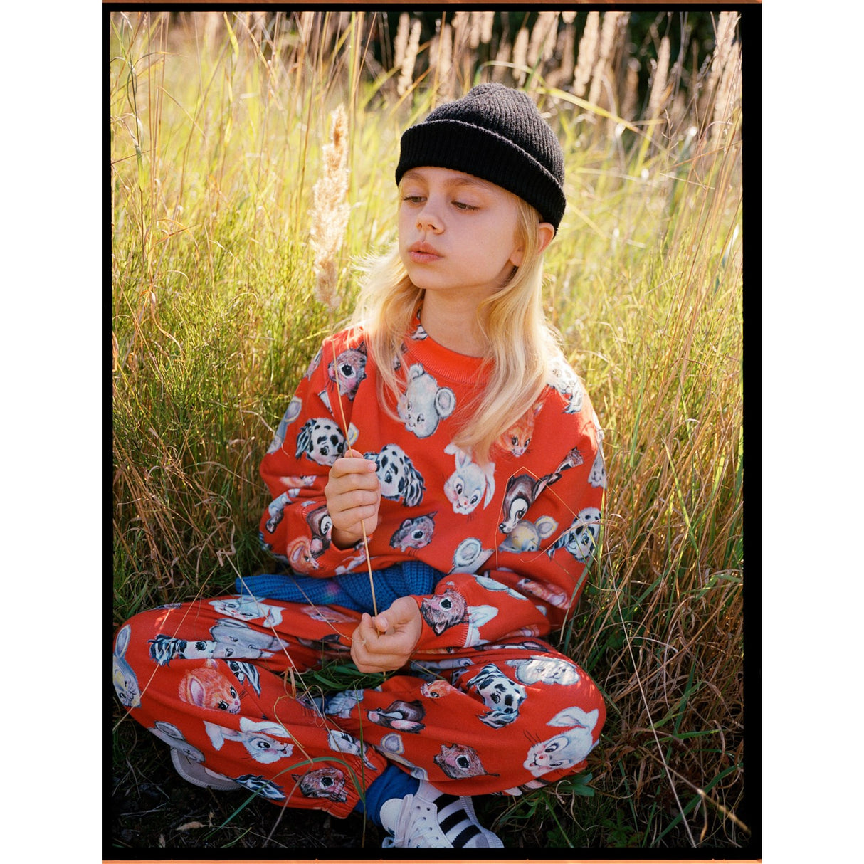 Molo Rising Sun Marge Collegegenser